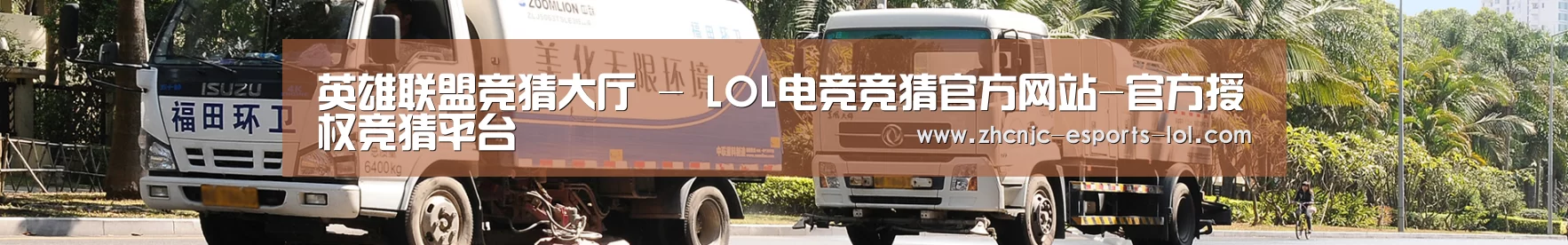 成功案例