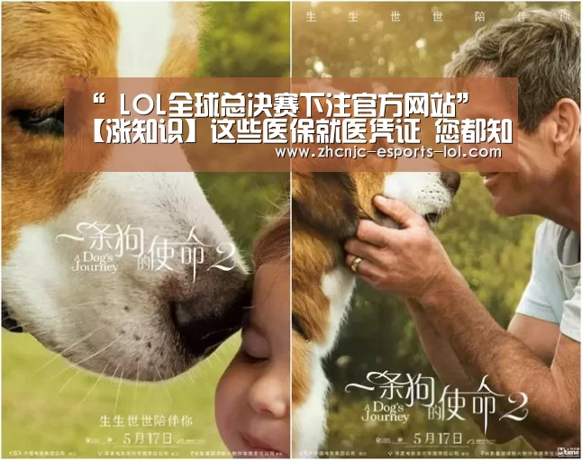 “ LOL全球总决赛下注官方网站”
【涨知识】这些医保就医凭证 您都知道吗?